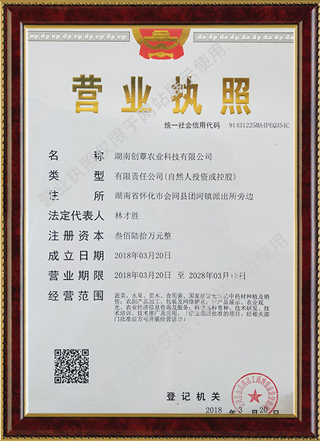 湖南創(chuàng)蕈農(nóng)業(yè)科技有限公司,懷化食用菌種植銷(xiāo)售,懷化羊肚菌種植銷(xiāo)售,懷化赤松茸種植銷(xiāo)售 湖南創(chuàng)蕈農(nóng)業(yè)科技有限公司,懷化食用菌種植銷(xiāo)售,懷化羊肚菌種植銷(xiāo)售,懷化赤松茸種植銷(xiāo)售