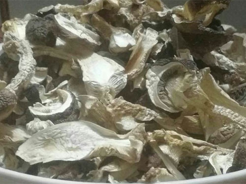 湖南創(chuàng)蕈農(nóng)業(yè)科技有限公司,懷化食用菌種植銷售,懷化羊肚菌種植銷售,懷化赤松茸種植銷售 湖南創(chuàng)蕈農(nóng)業(yè)科技有限公司,懷化食用菌種植銷售,懷化羊肚菌種植銷售,懷化赤松茸種植銷售
