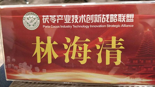 湖南創(chuàng)蕈農(nóng)業(yè)科技有限公司,懷化食用菌種植銷售,懷化羊肚菌種植銷售,懷化赤松茸種植銷售 湖南創(chuàng)蕈農(nóng)業(yè)科技有限公司,懷化食用菌種植銷售,懷化羊肚菌種植銷售,懷化赤松茸種植銷售